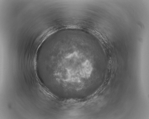 X0000115510290200911201644