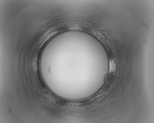 X0000115510291200911201644