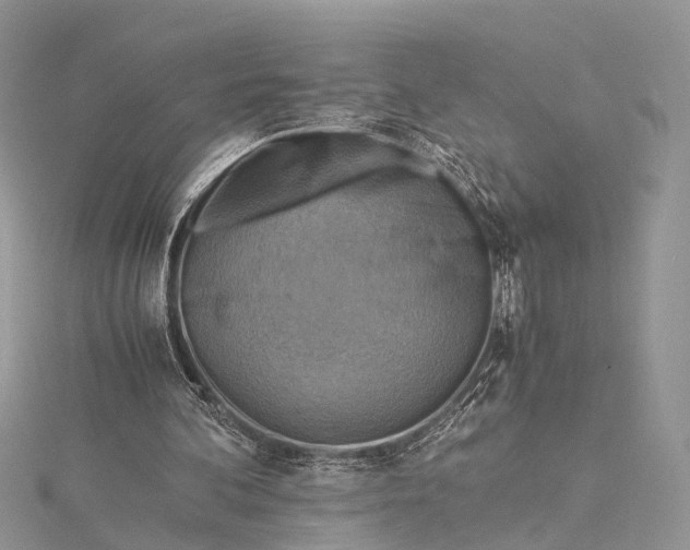 X0000115510292200911201644