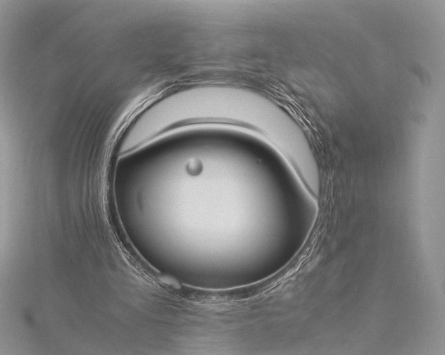 X0000115510293200911201644