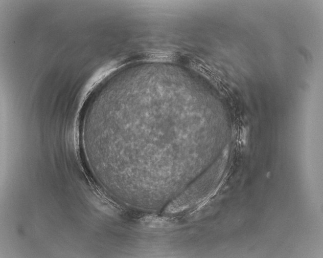 X0000115510294200911201644