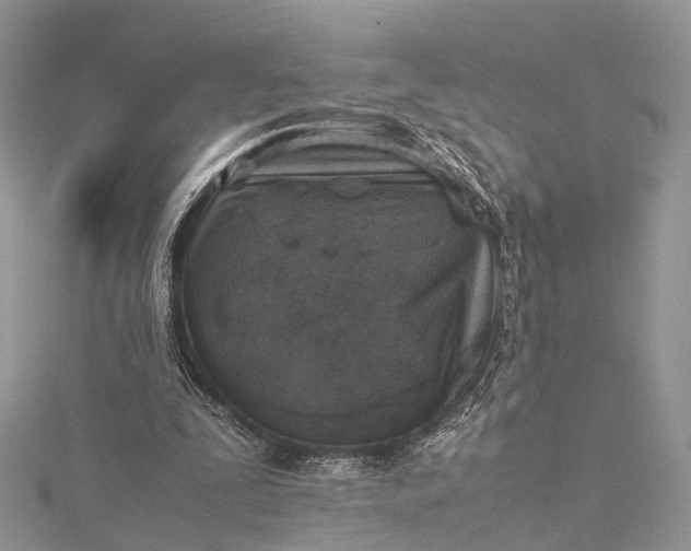 X0000115510295200911201644