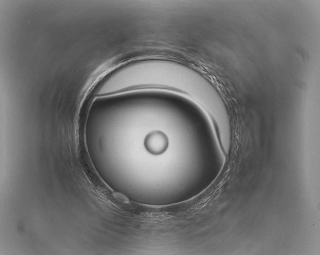 X0000115510296200911201644