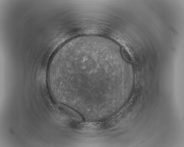 X0000115510297200911201644