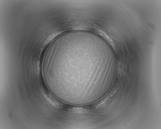 X0000115510298200911201644