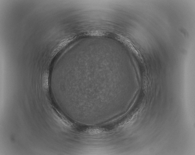 X0000115510299200911201644