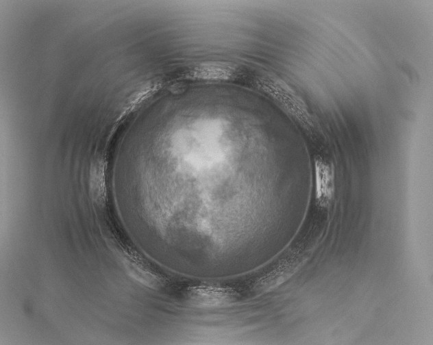 X0000115510300200911201644