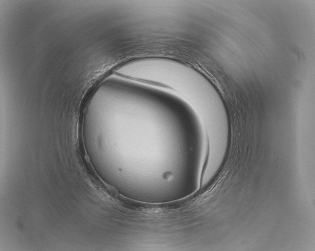 X0000115510301200911201644