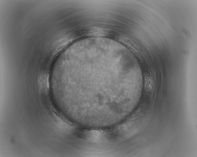 X0000115510302200911201644