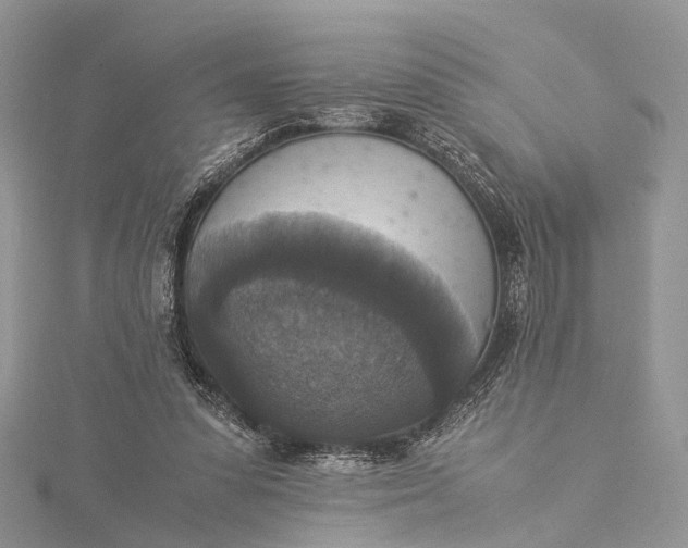 X0000115510303200911201644