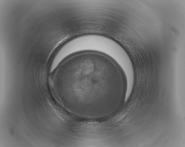 X0000115510304200911201644