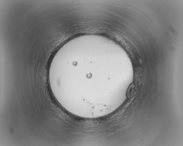 X0000115510305200911201644