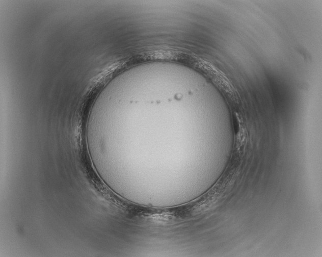 X0000115510306200911201644