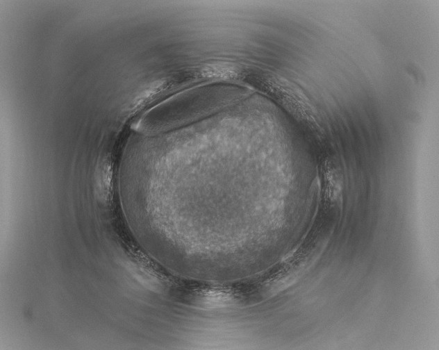 X0000115510308200911201644