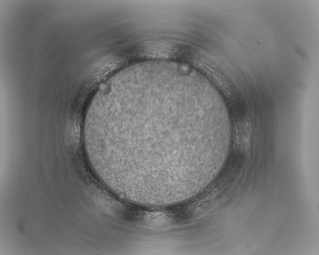 X0000115510309200911201644