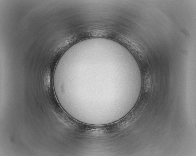 X0000115510310200911201644