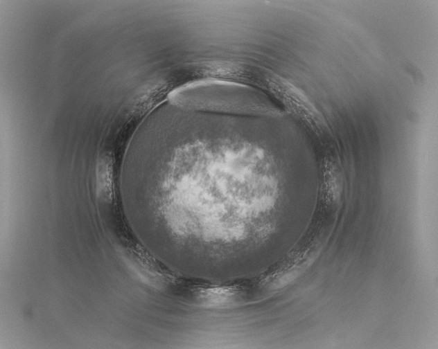 X0000115510312200911201644