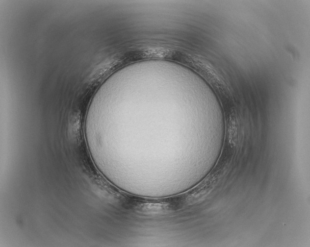 X0000115510314200911201644