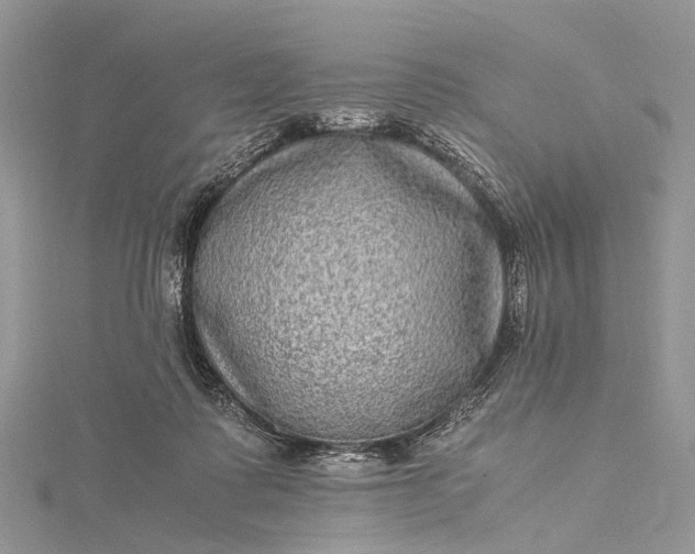 X0000115510315200911201644