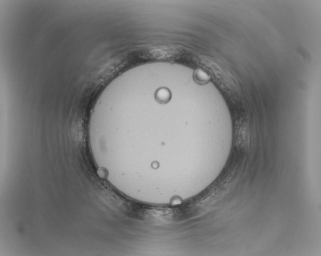 X0000115510317200911201644