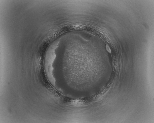 X0000115510319200911201644