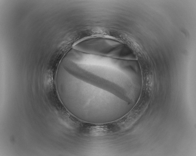 X0000115510320200911201644