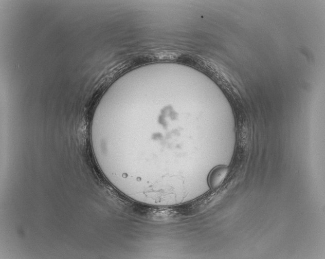 X0000115510321200911201644