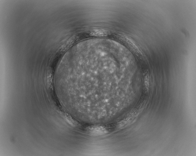 X0000115510322200911201644