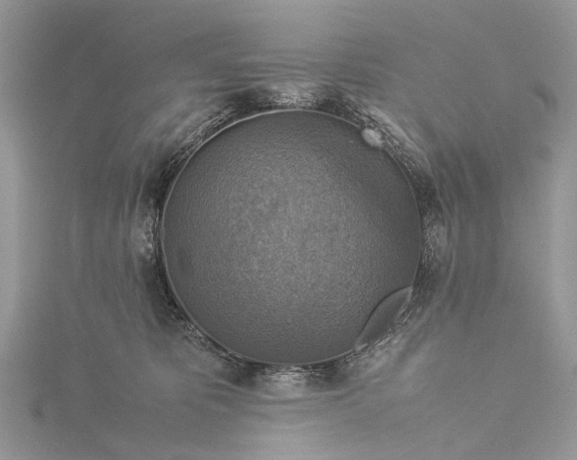 X0000115510325200911201644