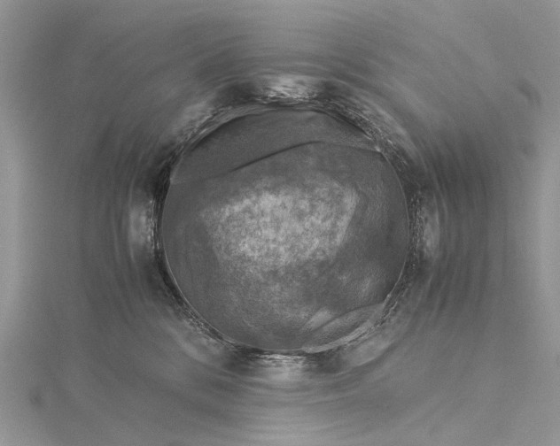 X0000115510328200911201644