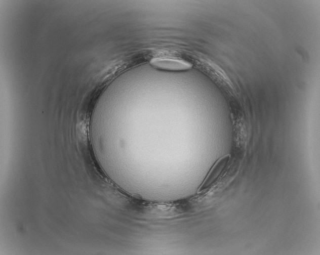 X0000115510329200911201644