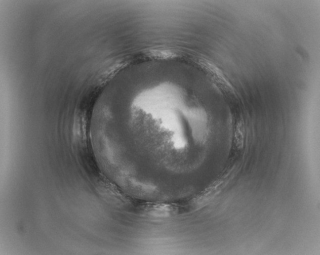 X0000115510330200911201644