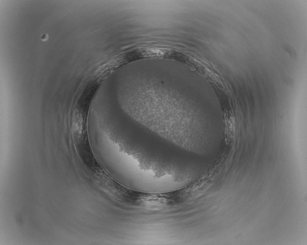 X0000115510331200911201644