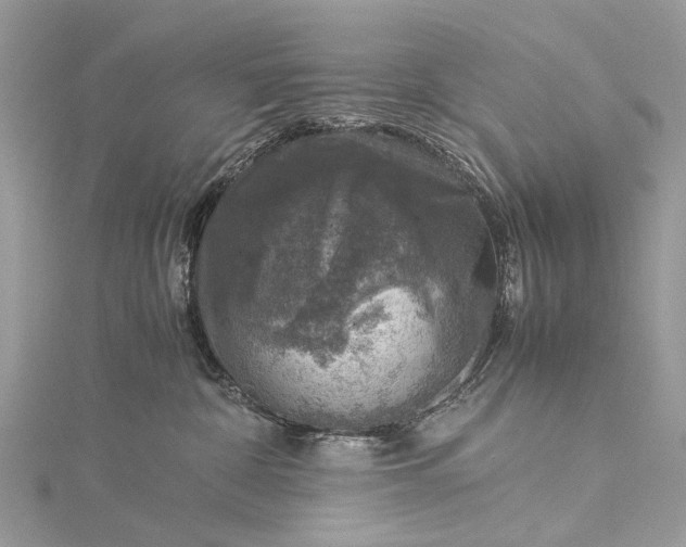 X0000115510332200911201644