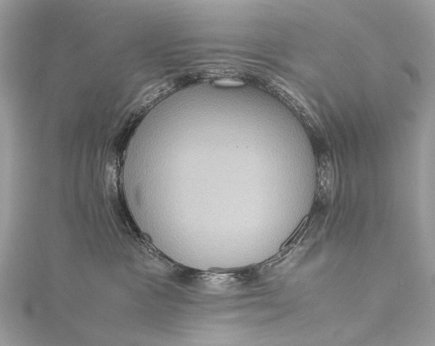 X0000115510333200911201644