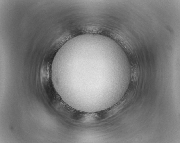 X0000115510334200911201644