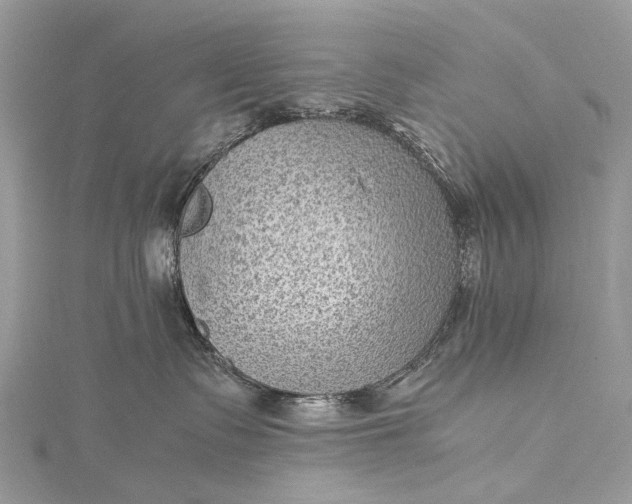 X0000115510335200911201643