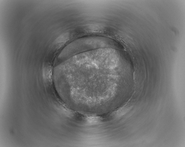 X0000115510336200911201643