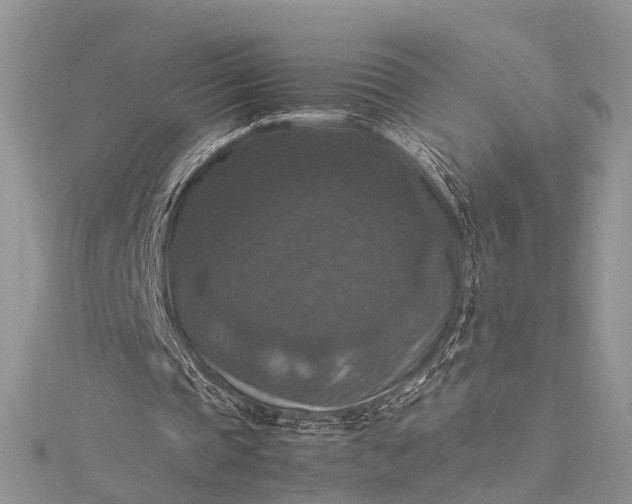 X0000115510337200911201643