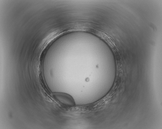 X0000115510338200911201643