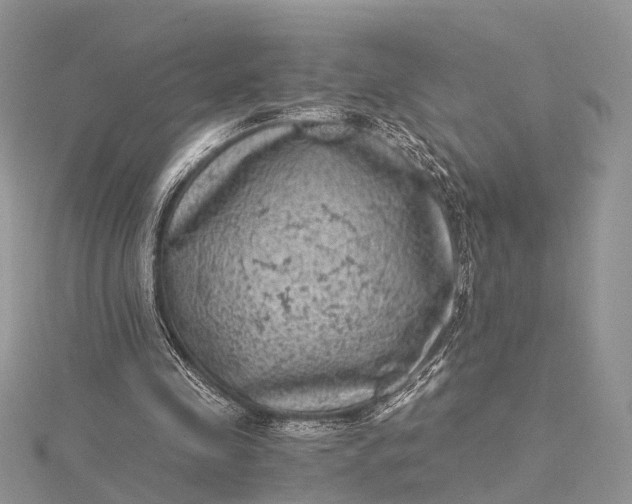 X0000115510341200911201643