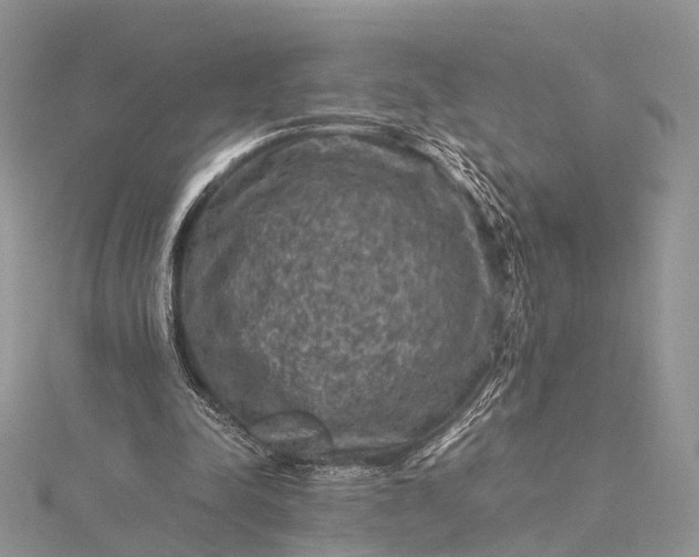 X0000115510342200911201643