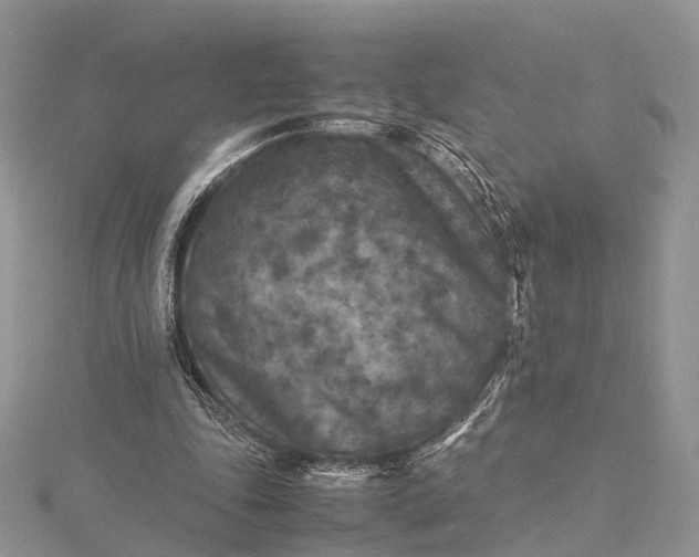 X0000115510343200911201643