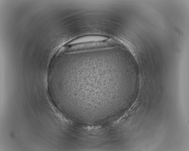 X0000115510345200911201643