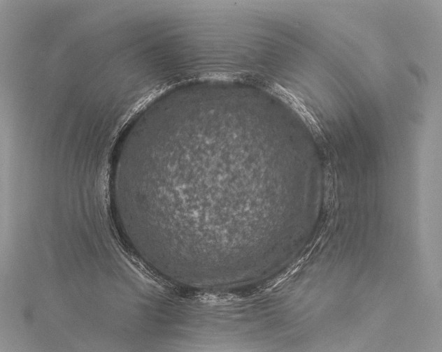 X0000115510346200911201643