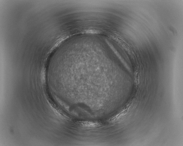 X0000115510347200911201643