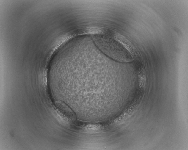 X0000115510350200911201643