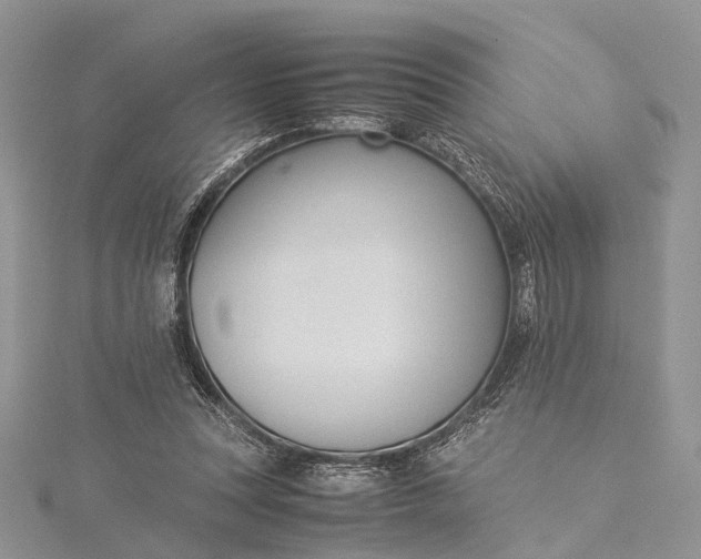 X0000115510351200911201643