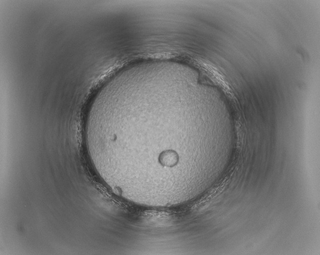 X0000115510354200911201643