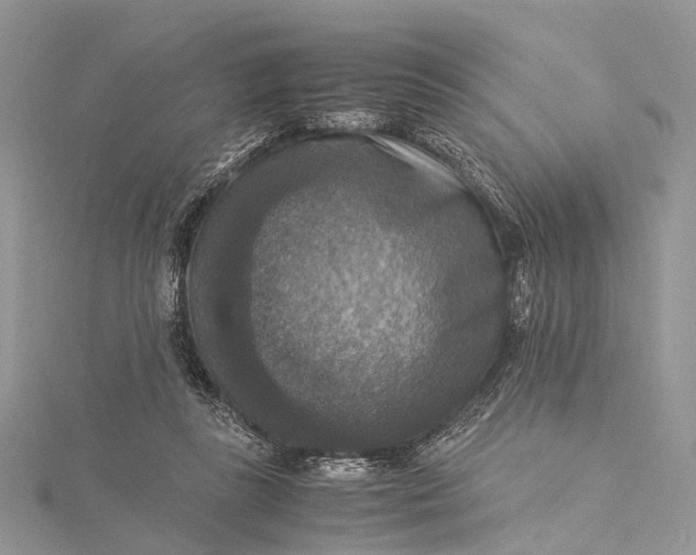 X0000115510355200911201643